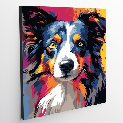 Kit De Pintura - Border Collie