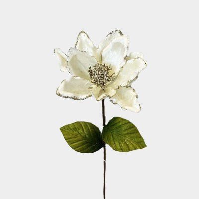 Magnolia Brillante 20X55Cm...